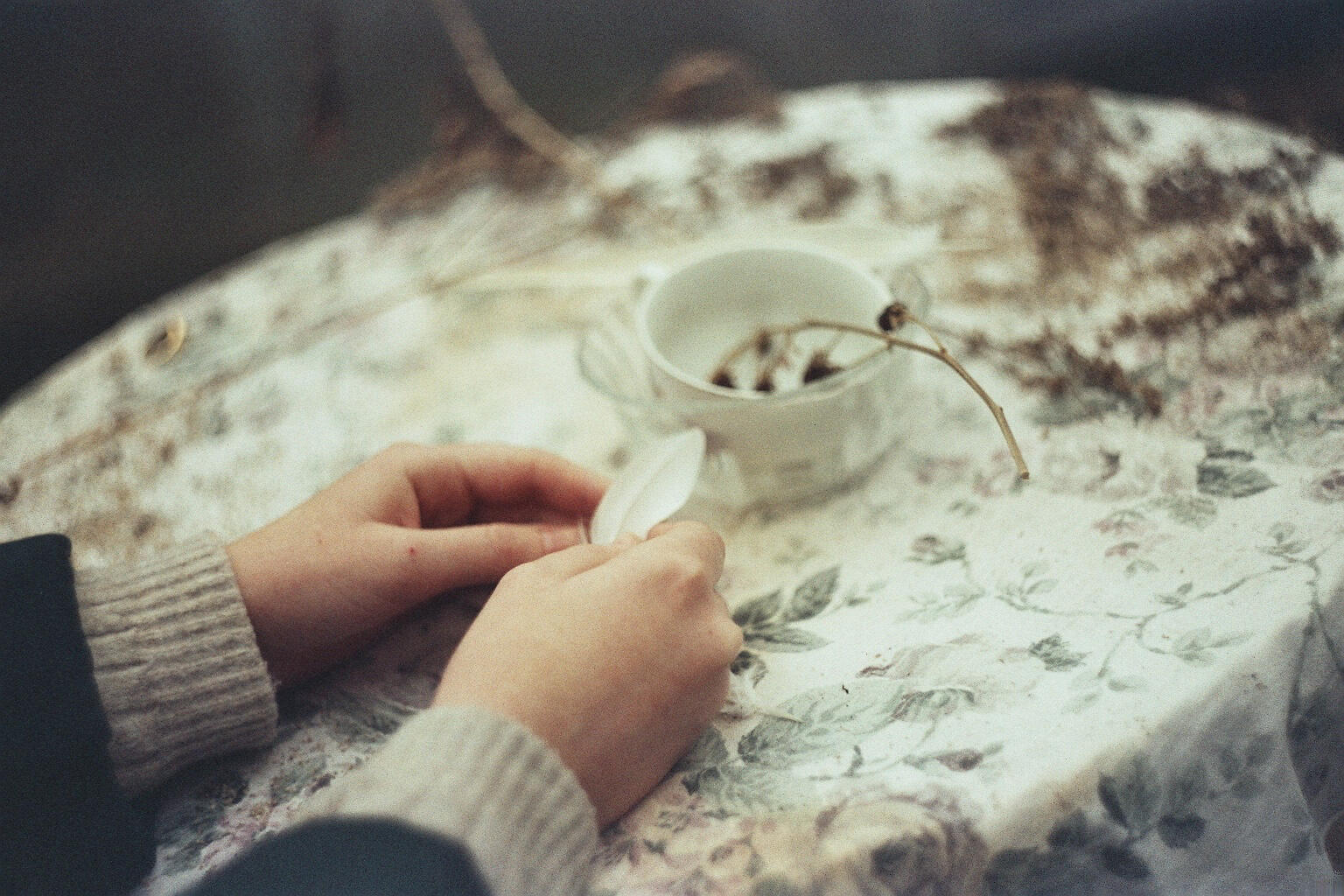 Untitled